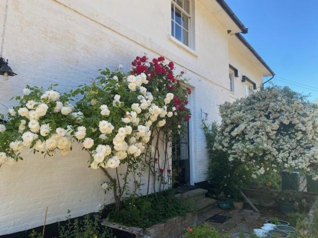 Old Rectory - Scoulton Apartman Great Ellingham Kültér fotó